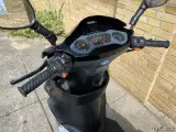 PGO T-Rex 110 - 5