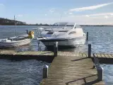 Elektrisk Bayliner 2155 Sunbridge