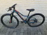 Specialized