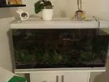 Akvarium 112 liter med baggrund fllter