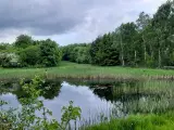 Jagt ejendom på 11,3Ha, særligt natur og egen sø. - 2