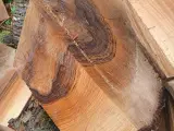Frisk valnøddetræ til håndværk
