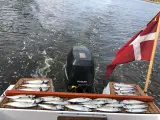 Kabinebåd - 5