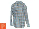 Skjorte fra Ralph Lauren (str. 164 cm) - 2