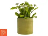 Kunstig plante med potte fra IKEA (str. 12 cm) - 3