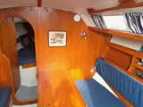 Maxi Fenix Classic  - 4