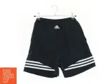Shorts fra Adidas (str. 164 cm) - 2
