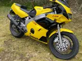 Fzr600