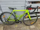 Herreracer Cannondale Optimo Tiagra 51 cm Sælges - 5