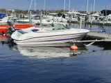  CHAMPION Speedbåd v8