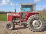 MF 590 traktor - 5