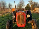 🚜 Massey Ferguson 35 benzin – kørende projekt - 5