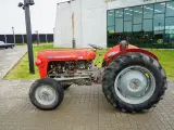 Massey Ferguson - 3