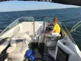 Chaparral 215 SSi Volvo Penta 4,3 L Gxi - 2