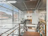 Stort og ikonisk erhvervslejemål i gågaden - 5