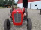 massey ferguson 35 Benzin - 2