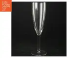 Champagneglas (str. 21,5 cm) - 3