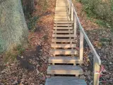 Naturtrapper i egetræ