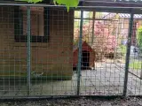 Hundegård - 3