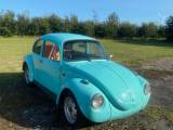 VW 1303