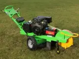 Laski F 460/18 - 3