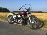 Harley Davidson Early Shovelhead 