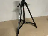 Hama
