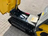 Neuson DT08 bælte dumper/motorbør - 5