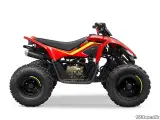 CFMOTO C-FORCE 110 - 3