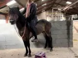 Vidunderlig pony
