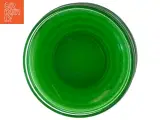 Grønne broksø glas tallerkener (str. Ø 15 cm) - 2