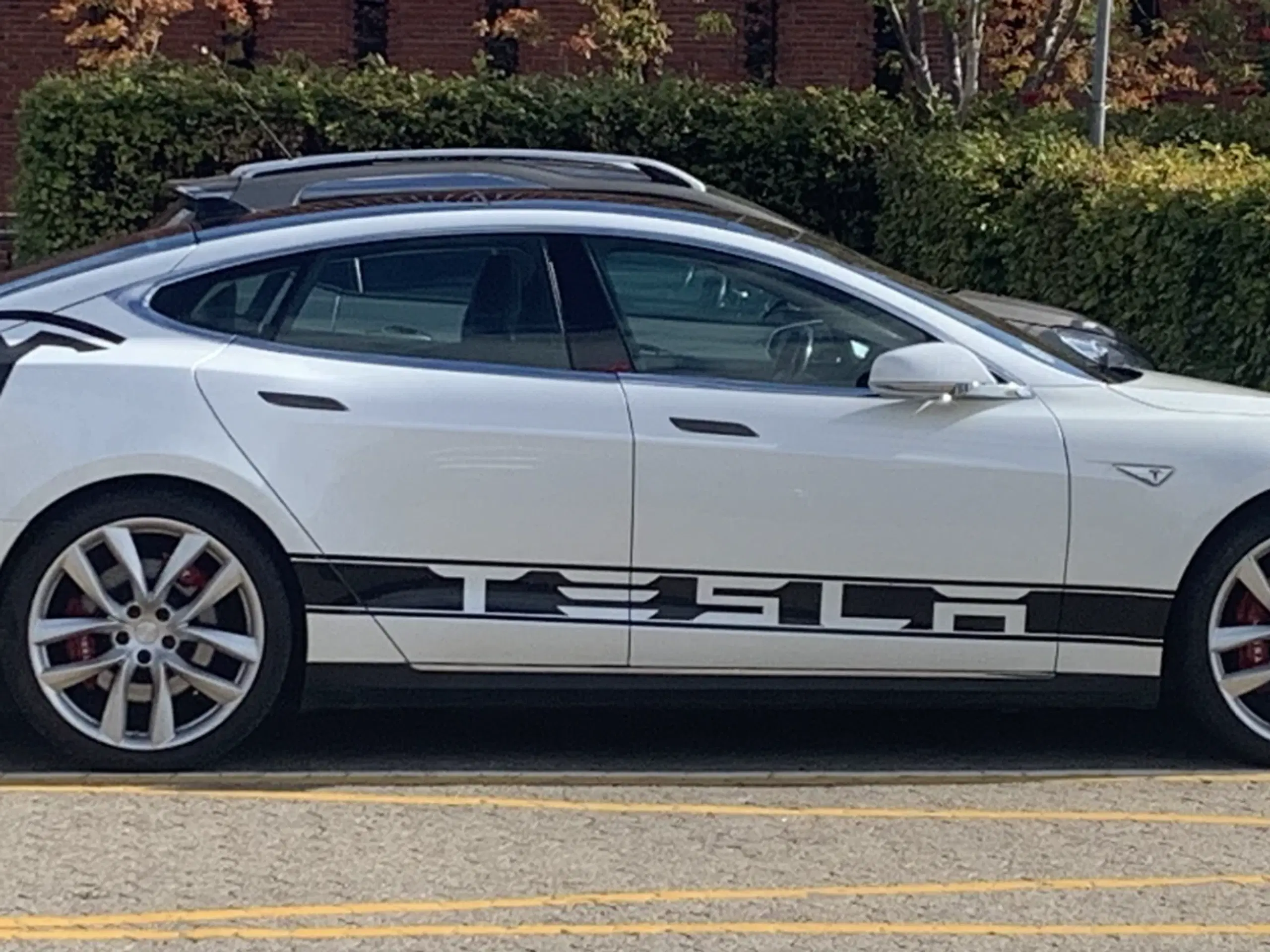 TESLA MODEL S - EVETESLA EDITION