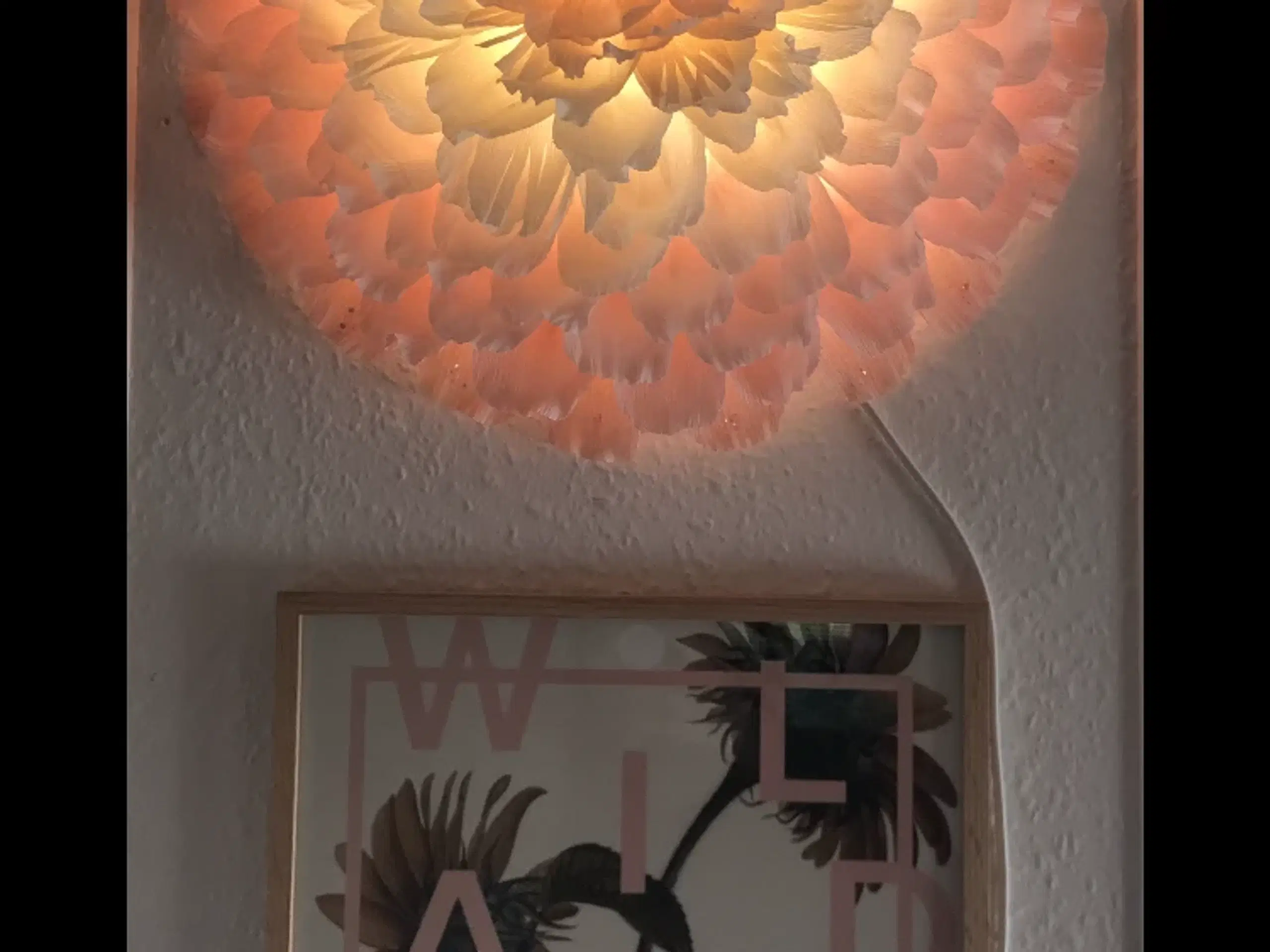 Lampe/lysblomst, meget smuk 🌸