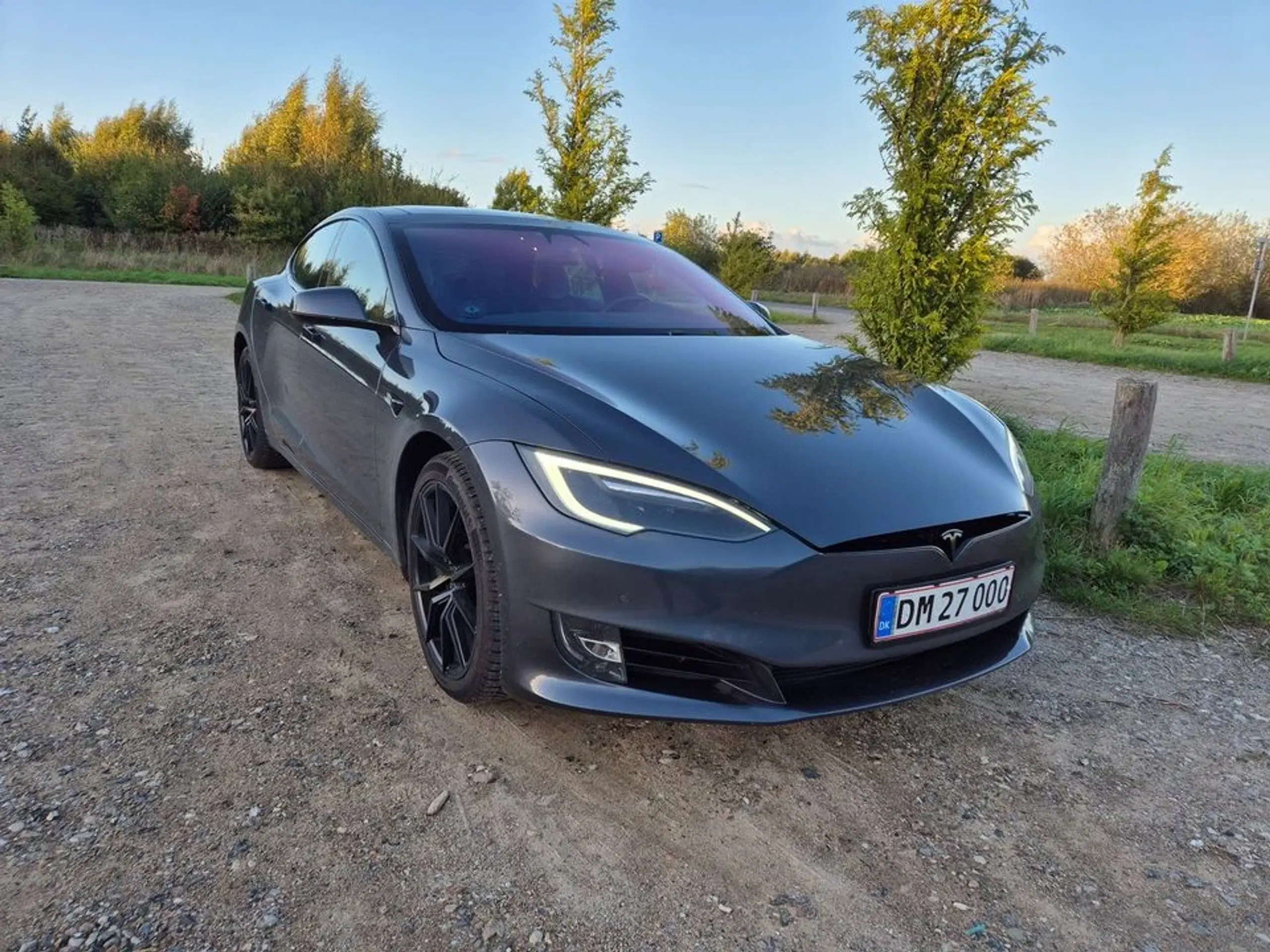 Tesla Model S 75D