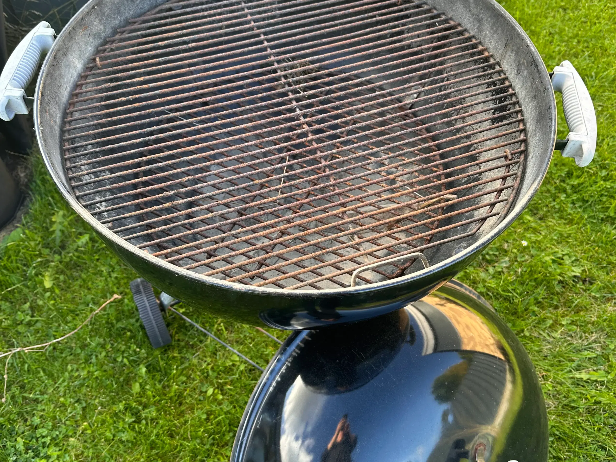 Weber kuglegrill