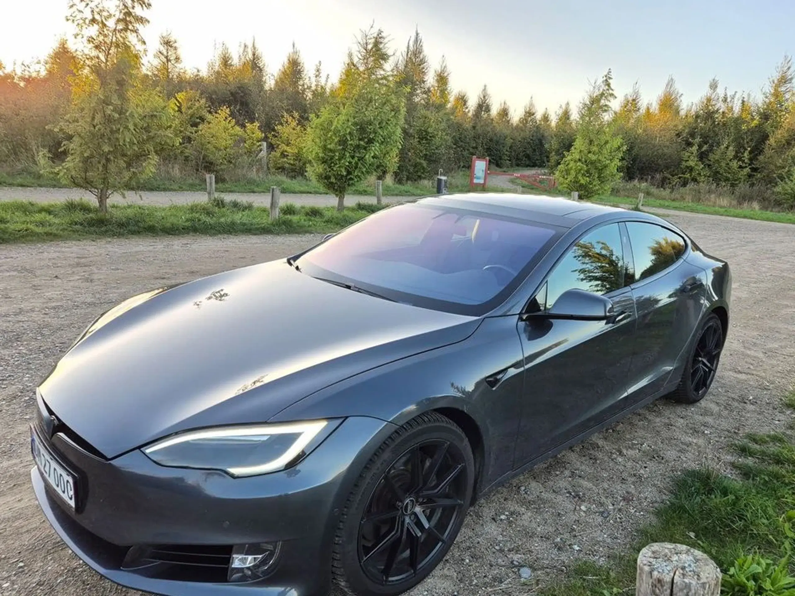 Tesla Model S 75D