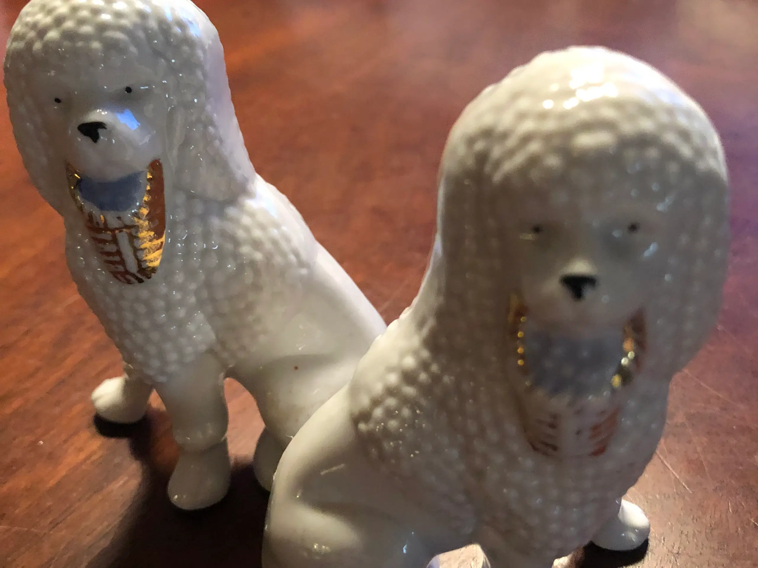 Porcelænshunde krymmelhunde