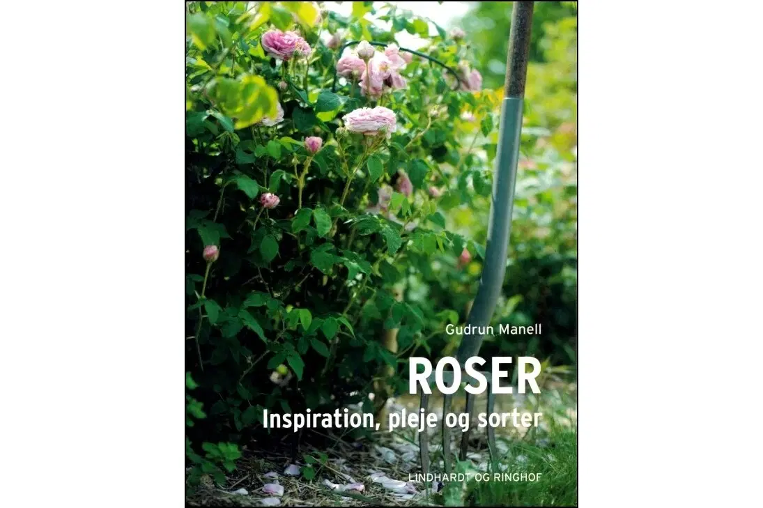 Roser - inspiration pleje og sorter