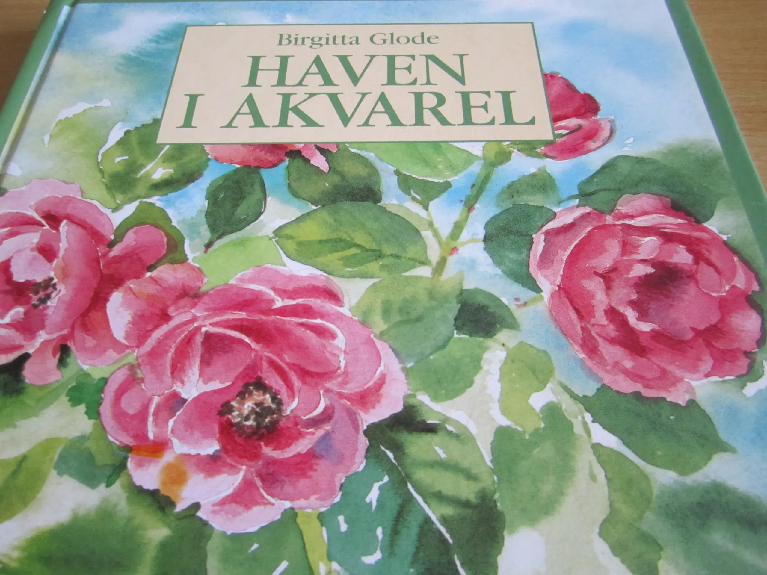 Birgitta Glode HAVEN I AKVAREL