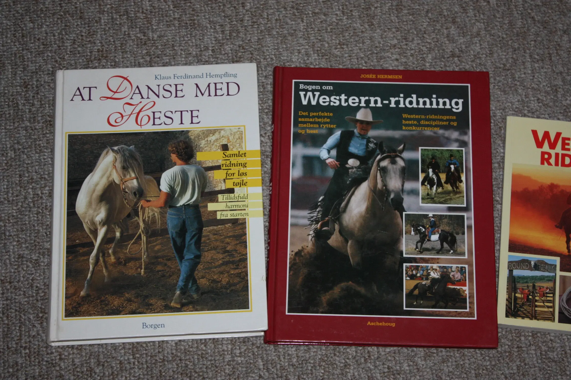 Western-Ridning af Josée Hermsen