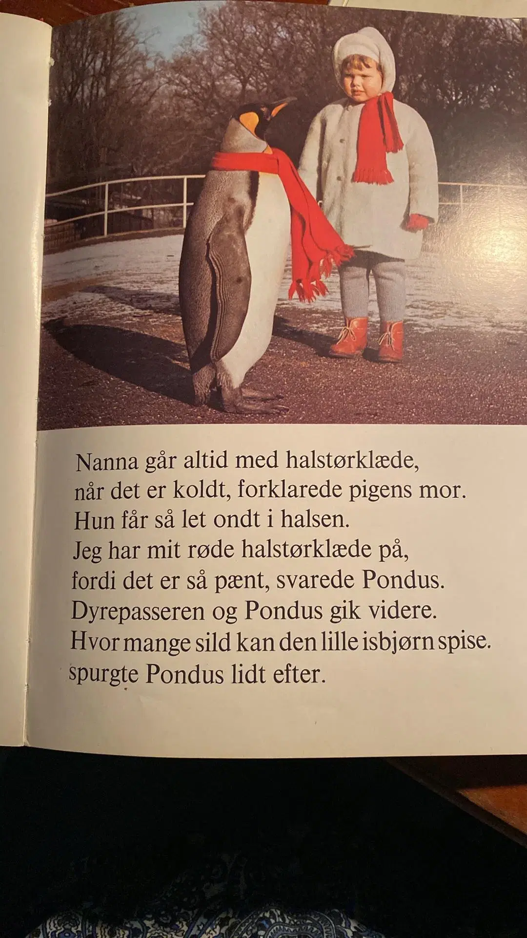 Pingvinen Pondus