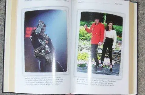 bog om Michael Jackson hans liv og død-