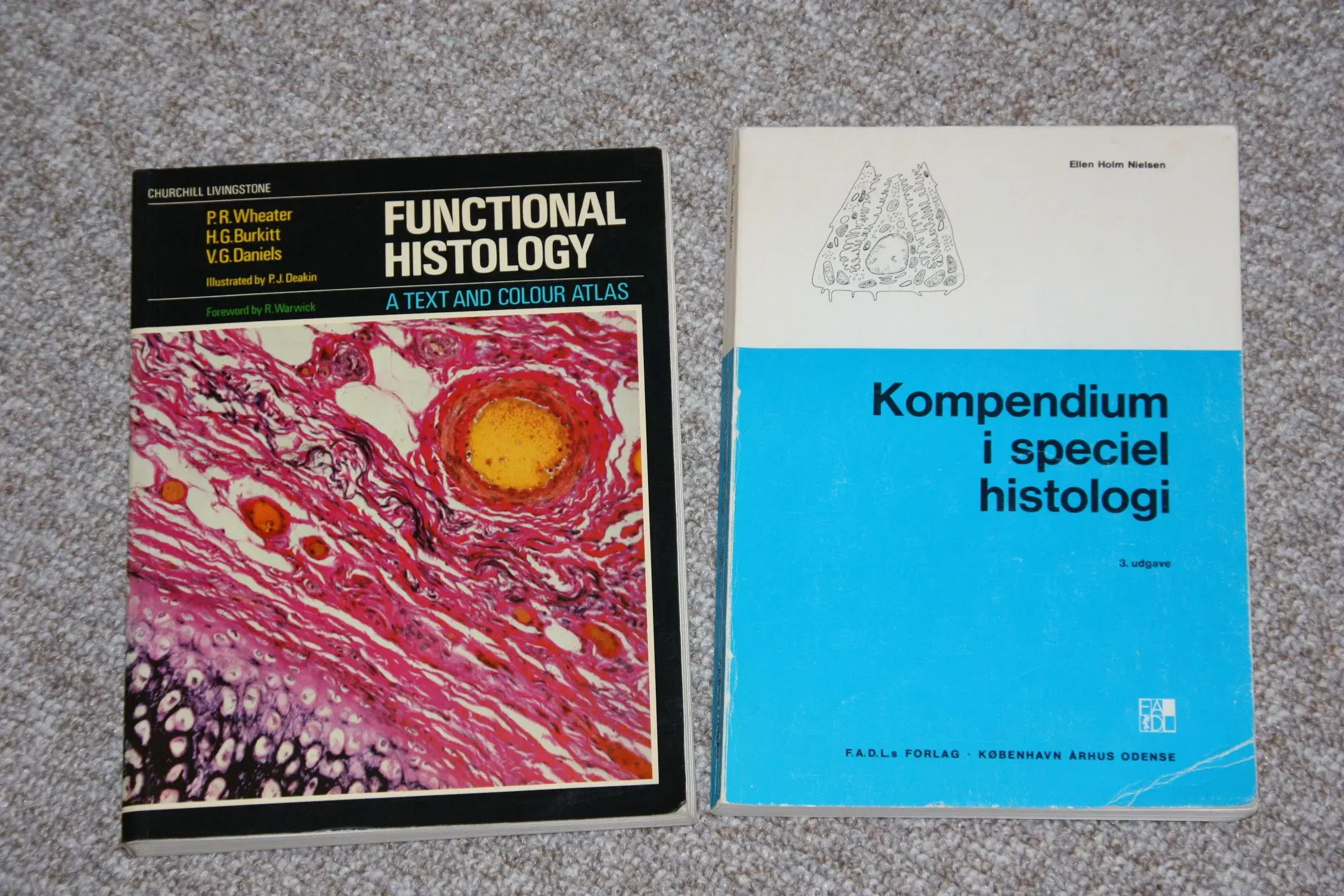 Kompendium i speciel histologi