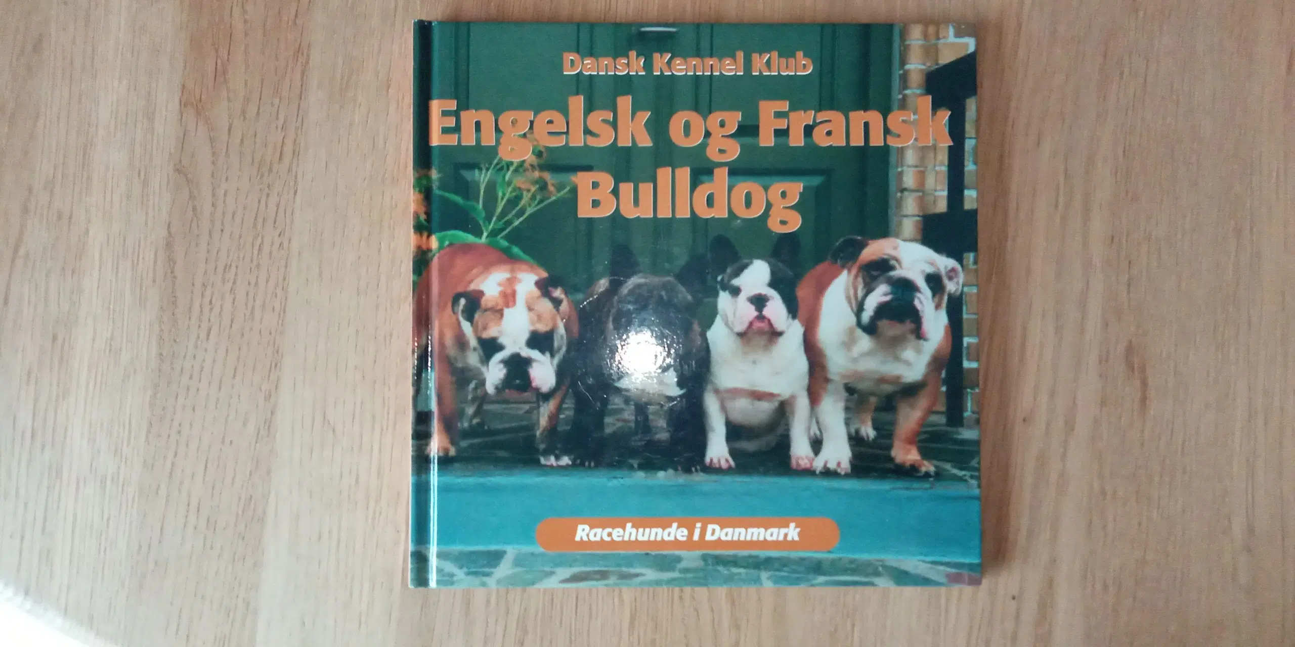 Engelsk og Fransk Bulldog