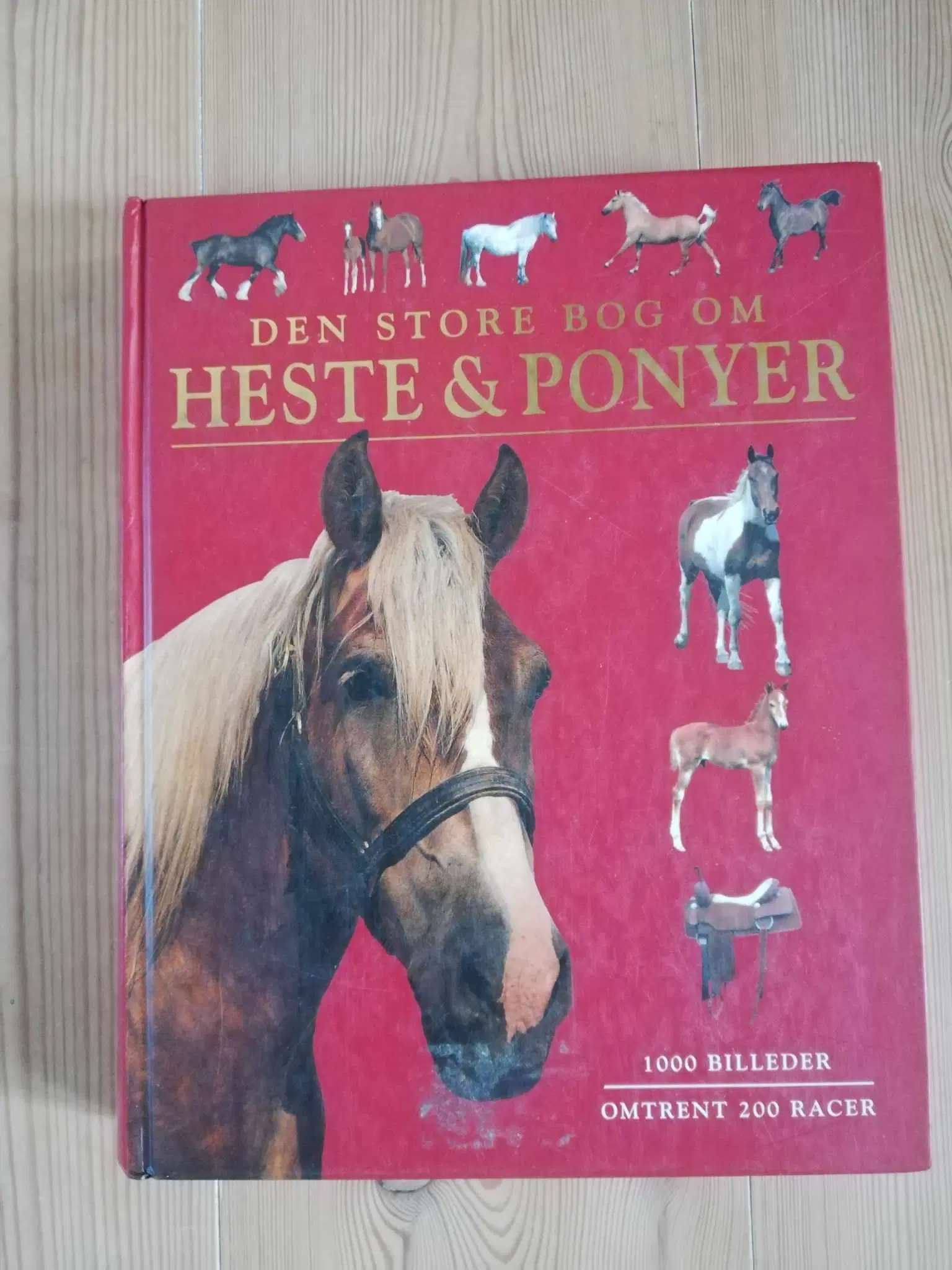 Hestebøger - fagbøger