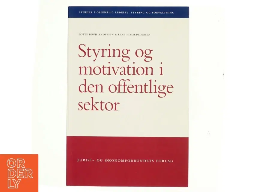 Styring og motivation i den offentlige sektor af Lotte Bøgh Andersen (Bog)
