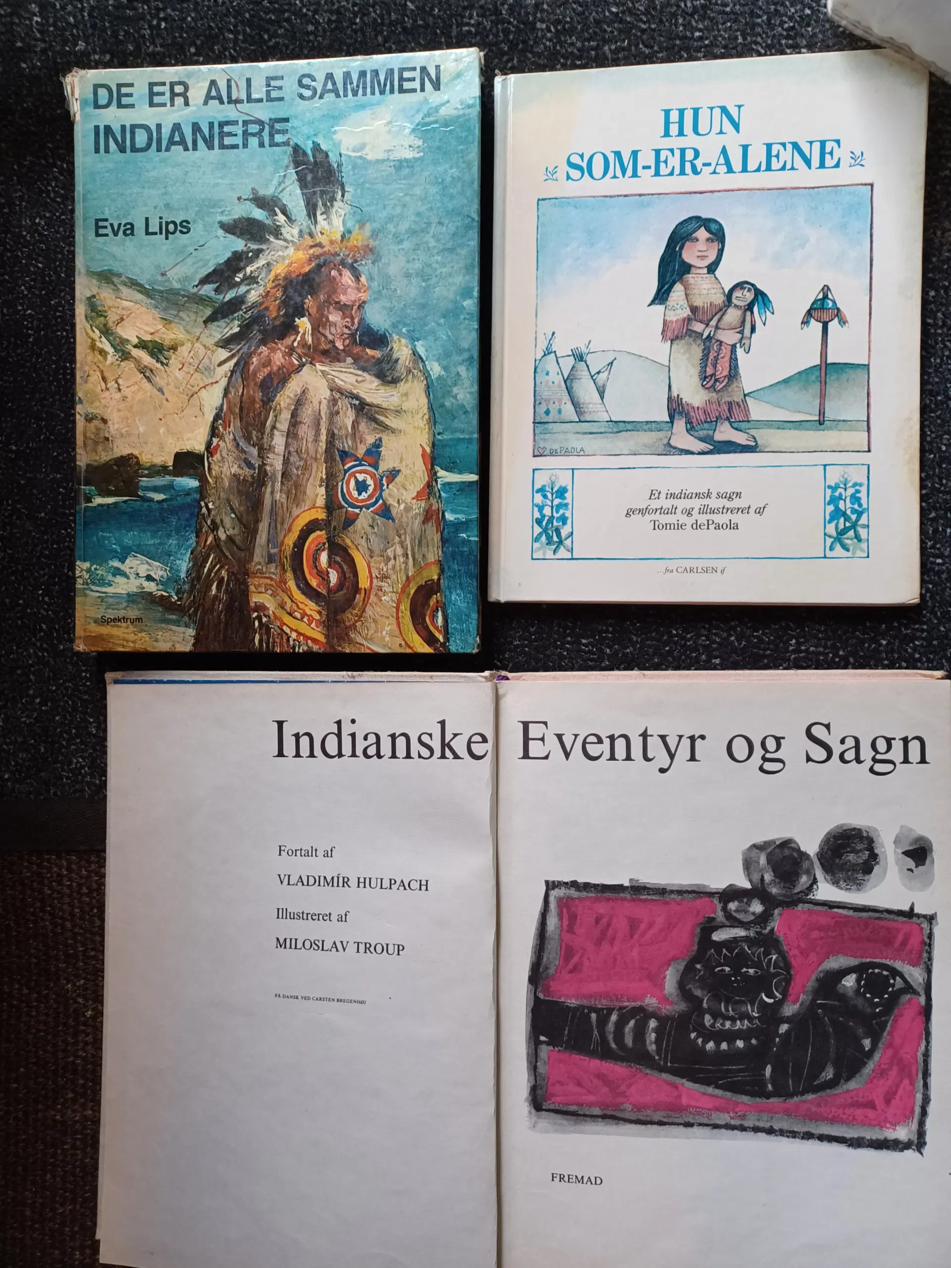 Indianerbøger for voksne