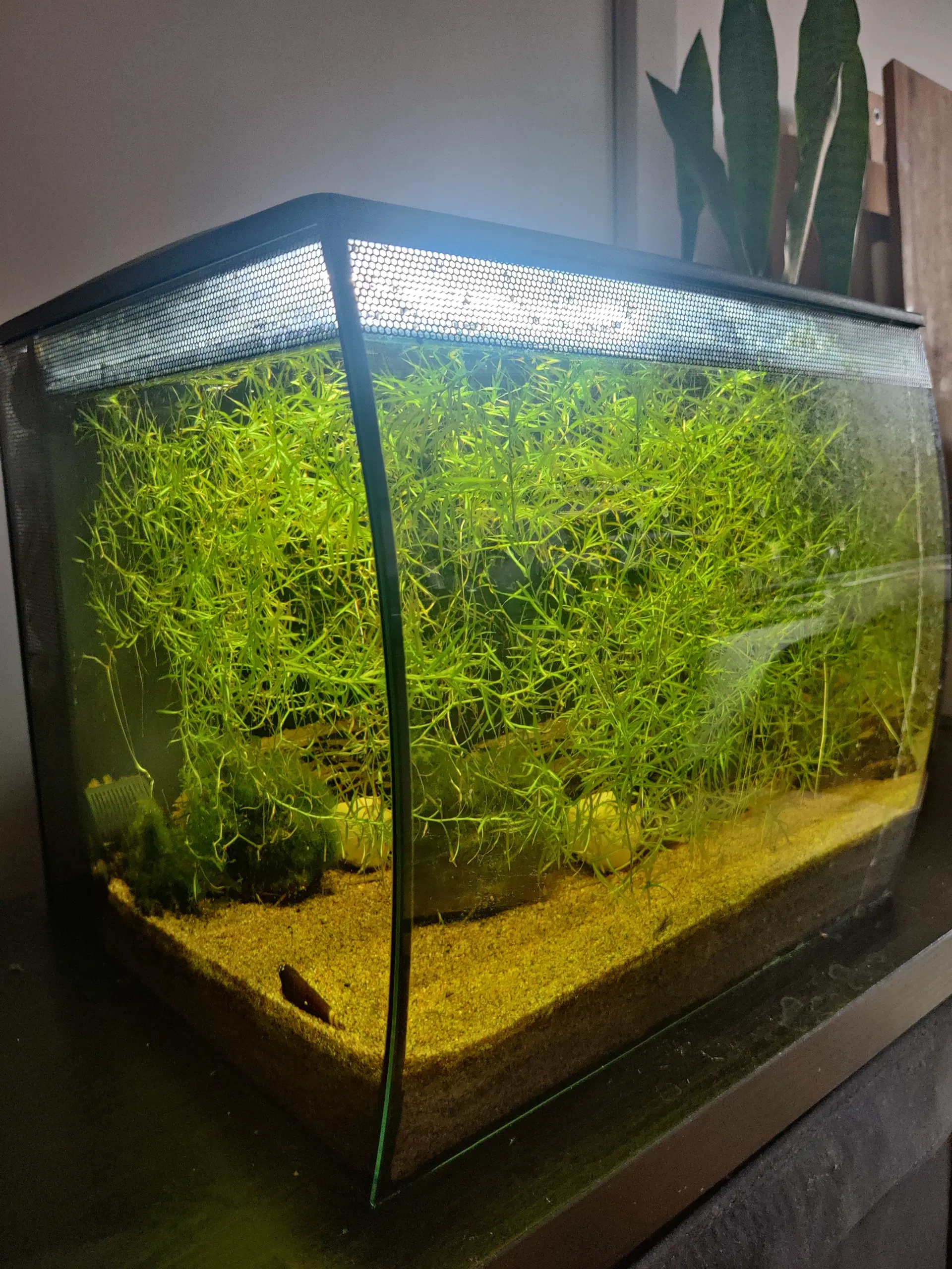 Fluval Flex 34L Akvarie