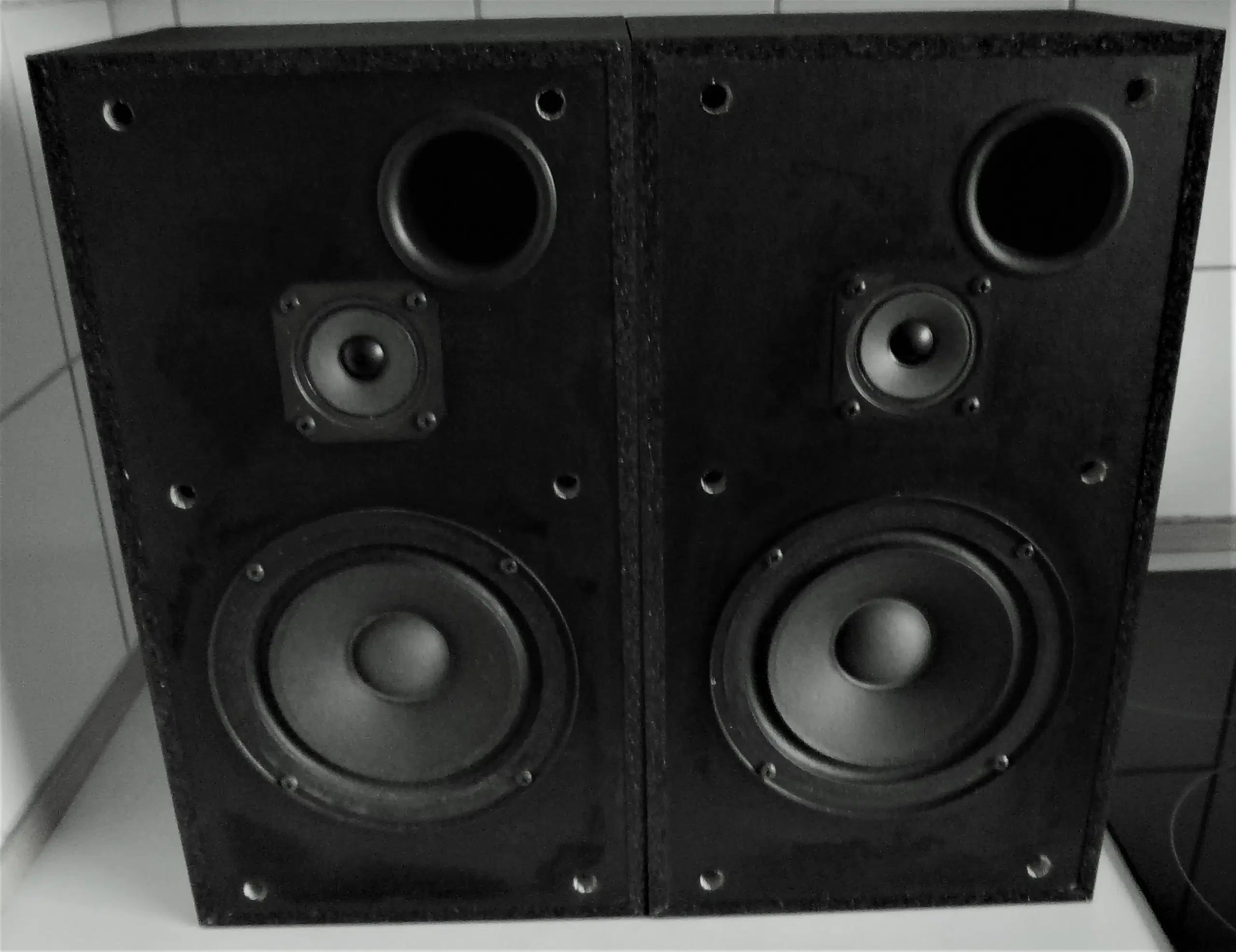 Sony SS-E107V Speaker System