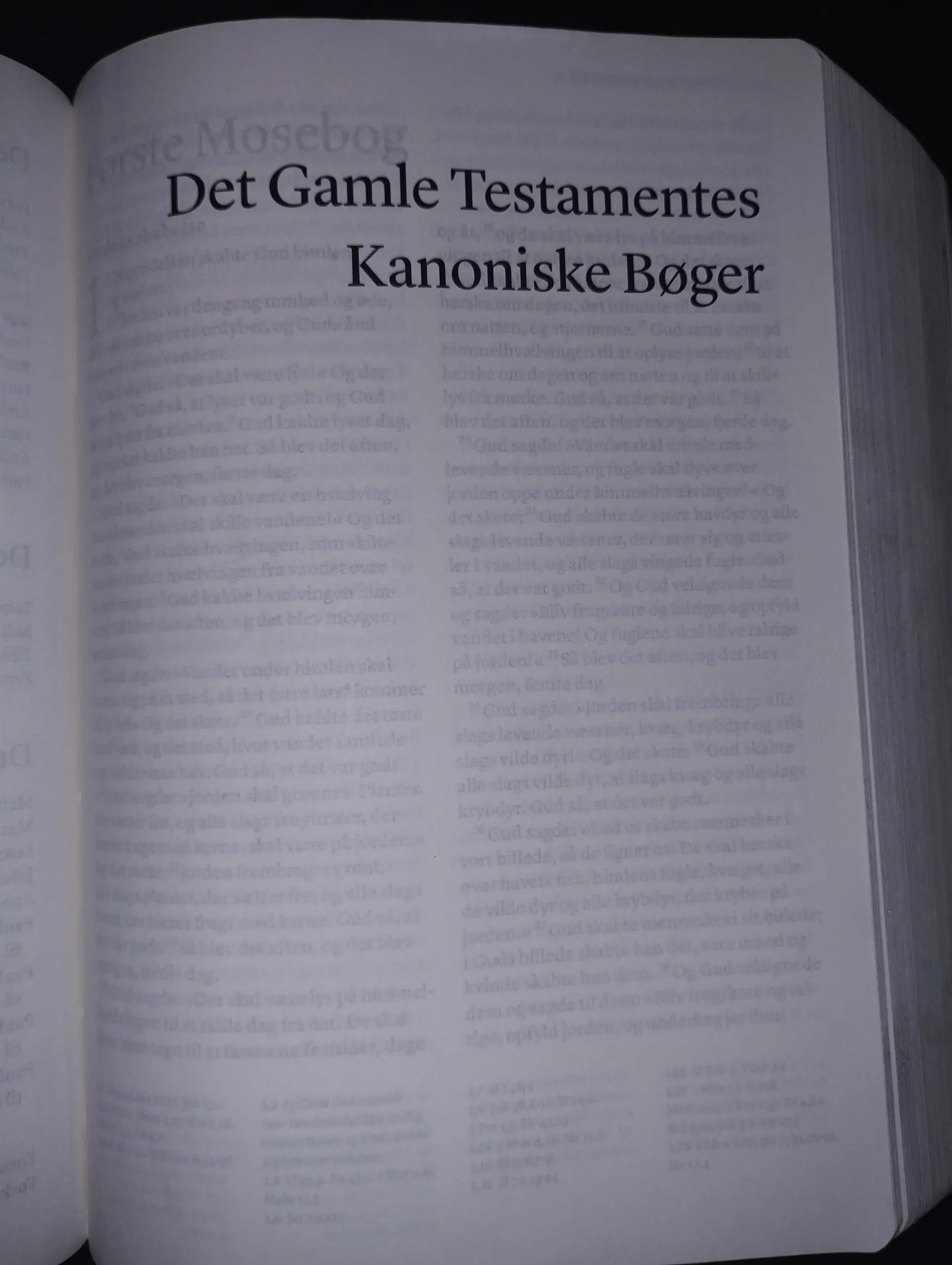 Bibelen det gamle Testamentes kaninske bøger